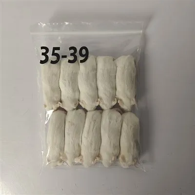 Ratones árticos ratas congeladas